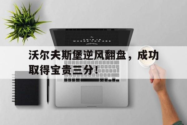 关于沃尔夫斯堡逆风翻盘，成功取得宝贵三分！的信息
